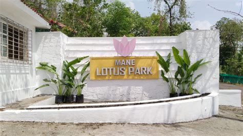 mane lotus park|Mane Lotus Park at Karjat, Mumbai by Mane Developers.